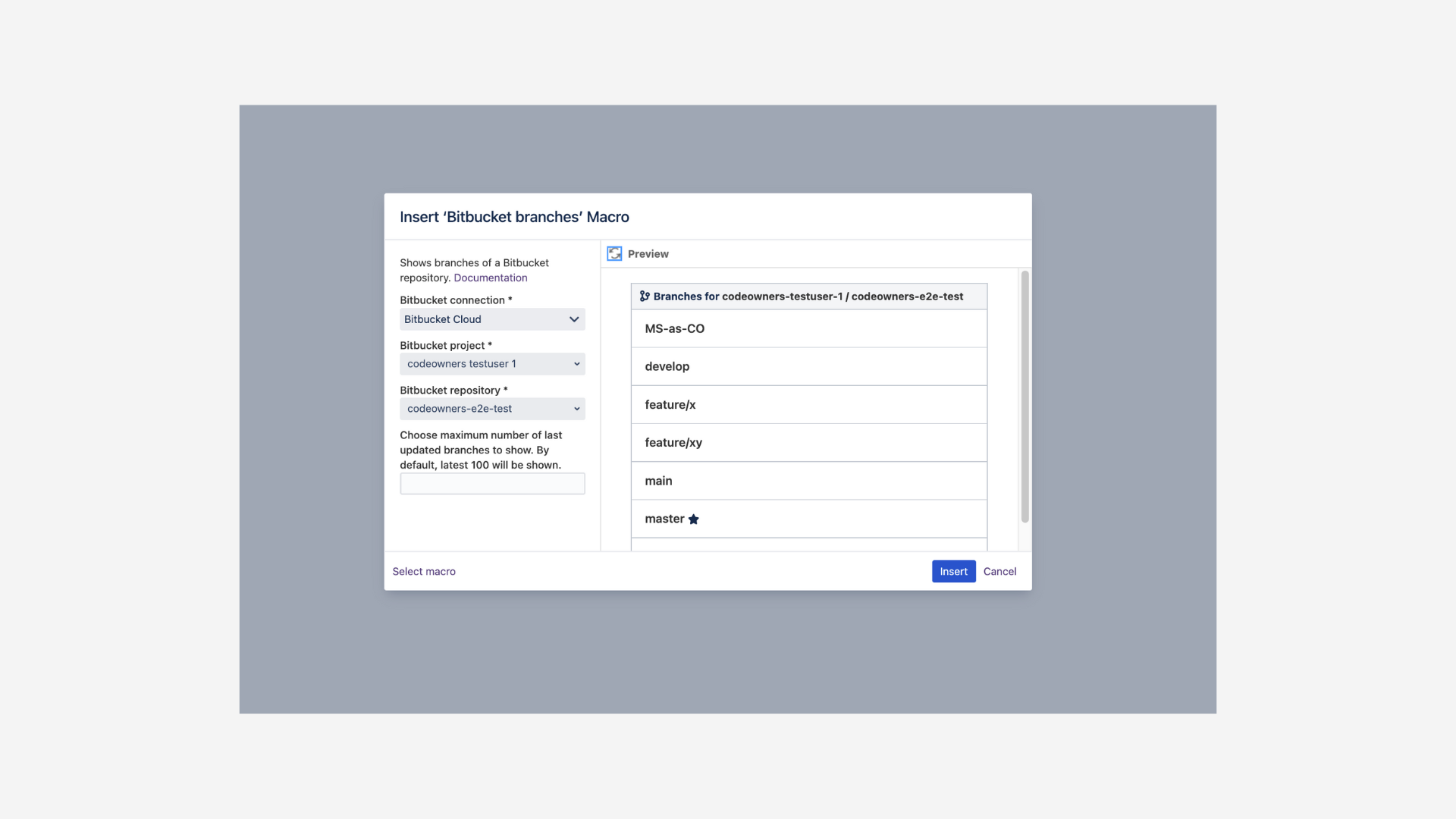 Include Bitbucket DC - edit branches macro.png